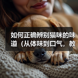 如何正确辨别猫咪的味道（从体味到口气，教你轻松分辨猫咪身上的气味）（图2）