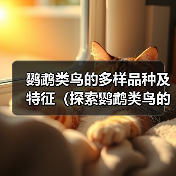 鹦鹉类鸟的多样品种及特征（探索鹦鹉类鸟的丰富多样性及特点）（图4）