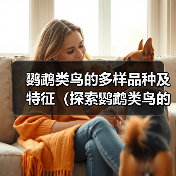 鹦鹉类鸟的多样品种及特征（探索鹦鹉类鸟的丰富多样性及特点）（图1）