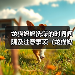 龙猫妈妈洗澡的时间间隔及注意事项（龙猫妈妈洗澡的频率、水温和洗澡方式）（图1）