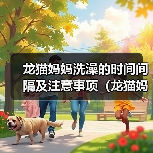 龙猫妈妈洗澡的时间间隔及注意事项（龙猫妈妈洗澡的频率、水温和洗澡方式）（图2）