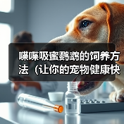 喋喋吸蜜鹦鹉的饲养方法（让你的宠物健康快乐生活）（图1）