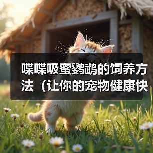 喋喋吸蜜鹦鹉的饲养方法（让你的宠物健康快乐生活）（图4）