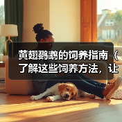 黄翅鹦鹉的饲养指南（了解这些饲养方法，让你的黄翅鹦鹉健康快乐）（图1）