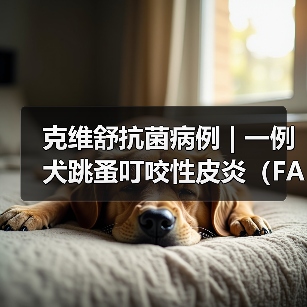 克维舒抗菌病例 | 一例犬跳蚤叮咬性皮炎（FAD）的病例分析（图1）