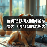 如何照顾假期期间的博美犬(假期期间宠物犬的饮食、运动、训练和安全等问题)(图1) 如何照顾假期期间的博美犬(假期期间宠物犬的饮食、运动、训练和安全等问题)(图1)