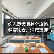 约克夏犬喂养全攻略：健康饮食、注意事项与常见问题解答（图1）
