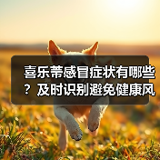 喜乐蒂感冒症状有哪些？及时识别避免健康风险（图4）