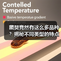 藏獒竟然有这么多品种?揭秘不同类型的特点(图1) 藏獒竟然有这么多品种?揭秘不同类型的特点(图1)