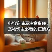 小狗狗洗澡注意事项：宠物饲主必看的正确方法全解析（图2）
