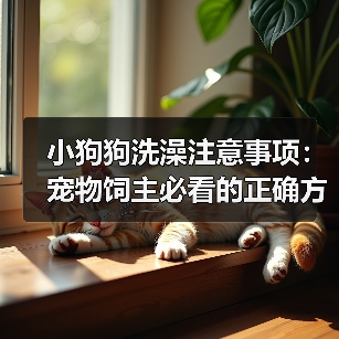 小狗狗洗澡注意事项：宠物饲主必看的正确方法全解析（图3）