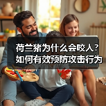 荷兰猪为什么会咬人？如何有效预防攻击行为？（图4）