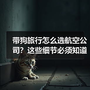 带狗旅行怎么选航空公司？这些细节必须知道！（图4）