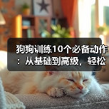 狗狗训练10个必备动作:从基础到高级,轻松教会爱犬(图1) 狗狗训练10个必备动作:从基础到高级,轻松教会爱犬(图1)