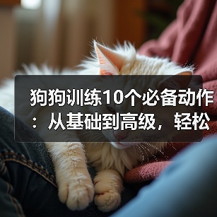 狗狗训练10个必备动作:从基础到高级,轻松教会爱犬(图3) 狗狗训练10个必备动作:从基础到高级,轻松教会爱犬(图3)