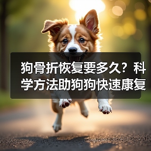 狗骨折恢复要多久？科学方法助狗狗快速康复（图2）