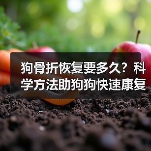 狗骨折恢复要多久？科学方法助狗狗快速康复（图4）