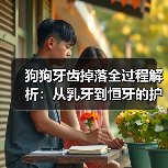 狗狗牙齿掉落全过程解析：从乳牙到恒牙的护理指南（图4）