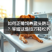 如何正确饲养蓝头鹦哥？掌握这些技巧轻松养出健康活泼的宠物鹦鹉（图4）