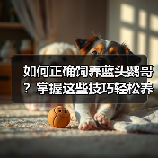 如何正确饲养蓝头鹦哥？掌握这些技巧轻松养出健康活泼的宠物鹦鹉（图2）