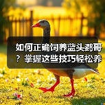如何正确饲养蓝头鹦哥？掌握这些技巧轻松养出健康活泼的宠物鹦鹉（图1）
