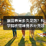 猫营养膏多久见效?科学解析猫咪营养补充效果(图3) 猫营养膏多久见效?科学解析猫咪营养补充效果(图3)