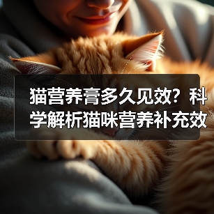 猫营养膏多久见效?科学解析猫咪营养补充效果(图1) 猫营养膏多久见效?科学解析猫咪营养补充效果(图1)