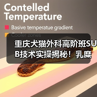 重庆犬猫外科高阶班SUB技术实操揭秘！乳糜胸手术如何精准应对？（图2）