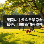 英国斗牛犬饮食禁忌全解析：哪些食物要避开？（图4）
