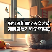 狗狗骨折固定多久才能彻底康复?科学掌握固定时间关键(图2) 狗狗骨折固定多久才能彻底康复?科学掌握固定时间关键(图2)