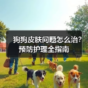 狗狗皮肤问题怎么治？预防护理全指南（图2）