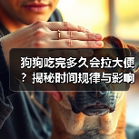 狗狗吃完多久会拉大便?揭秘时间规律与影响因素(图3) 狗狗吃完多久会拉大便?揭秘时间规律与影响因素(图3)