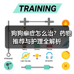 狗狗癣症怎么治？药物推荐与护理全解析（图1）