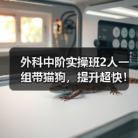 外科中阶实操班2人一组带猫狗，提升超快！（图2）