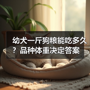 幼犬一斤狗粮能吃多久?品种体重决定答案(图3) 幼犬一斤狗粮能吃多久?品种体重决定答案(图3)