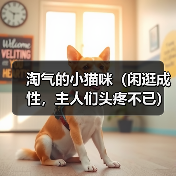 淘气的小猫咪(闲逛成性,主人们头疼不已)(图2) 淘气的小猫咪(闲逛成性,主人们头疼不已)(图2)