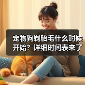 宠物狗剃胎毛什么时候开始？详细时间表来了（图3）