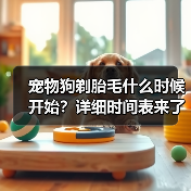 宠物狗剃胎毛什么时候开始？详细时间表来了（图1）