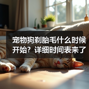 宠物狗剃胎毛什么时候开始？详细时间表来了（图4）