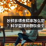 妙鲜多喂食频率怎么定？科学管理宠物饮食全攻略（图2）
