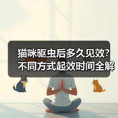 猫咪驱虫后多久见效?不同方式起效时间全解析(图1) 猫咪驱虫后多久见效?不同方式起效时间全解析(图1)