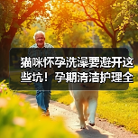 猫咪怀孕洗澡要避开这些坑!孕期清洁护理全攻略(图2) 猫咪怀孕洗澡要避开这些坑!孕期清洁护理全攻略(图2)