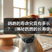 鹦鹉的寿命究竟有多长?(揭秘鹦鹉的长寿奥秘,让你掌握延长鹦鹉寿命的方法)(图1) 鹦鹉的寿命究竟有多长?(揭秘鹦鹉的长寿奥秘,让你掌握延长鹦鹉寿命的方法)(图1)