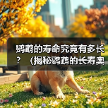 鹦鹉的寿命究竟有多长?(揭秘鹦鹉的长寿奥秘,让你掌握延长鹦鹉寿命的方法)(图2) 鹦鹉的寿命究竟有多长?(揭秘鹦鹉的长寿奥秘,让你掌握延长鹦鹉寿命的方法)(图2)