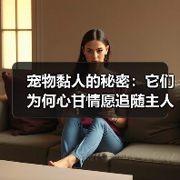 宠物黏人的秘密:它们为何心甘情愿追随主人?(图3) 宠物黏人的秘密:它们为何心甘情愿追随主人?(图3)