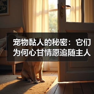宠物黏人的秘密:它们为何心甘情愿追随主人?(图2) 宠物黏人的秘密:它们为何心甘情愿追随主人?(图2)