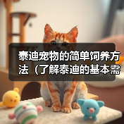泰迪宠物的简单饲养方法(了解泰迪的基本需求,营造舒适生活环境)(图1) 泰迪宠物的简单饲养方法(了解泰迪的基本需求,营造舒适生活环境)(图1)