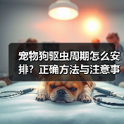 宠物狗驱虫周期怎么安排?正确方法与注意事项全解析(图3) 宠物狗驱虫周期怎么安排?正确方法与注意事项全解析(图3)