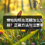 宠物狗驱虫周期怎么安排?正确方法与注意事项全解析(图4) 宠物狗驱虫周期怎么安排?正确方法与注意事项全解析(图4)
