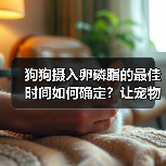 狗狗摄入卵磷脂的最佳时间如何确定?让宠物更健康!(图2) 狗狗摄入卵磷脂的最佳时间如何确定?让宠物更健康!(图2)